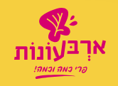 ארבעונות